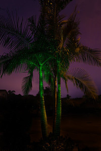 One Green SparkleMagic Illuminator placed below King Palm Tree.